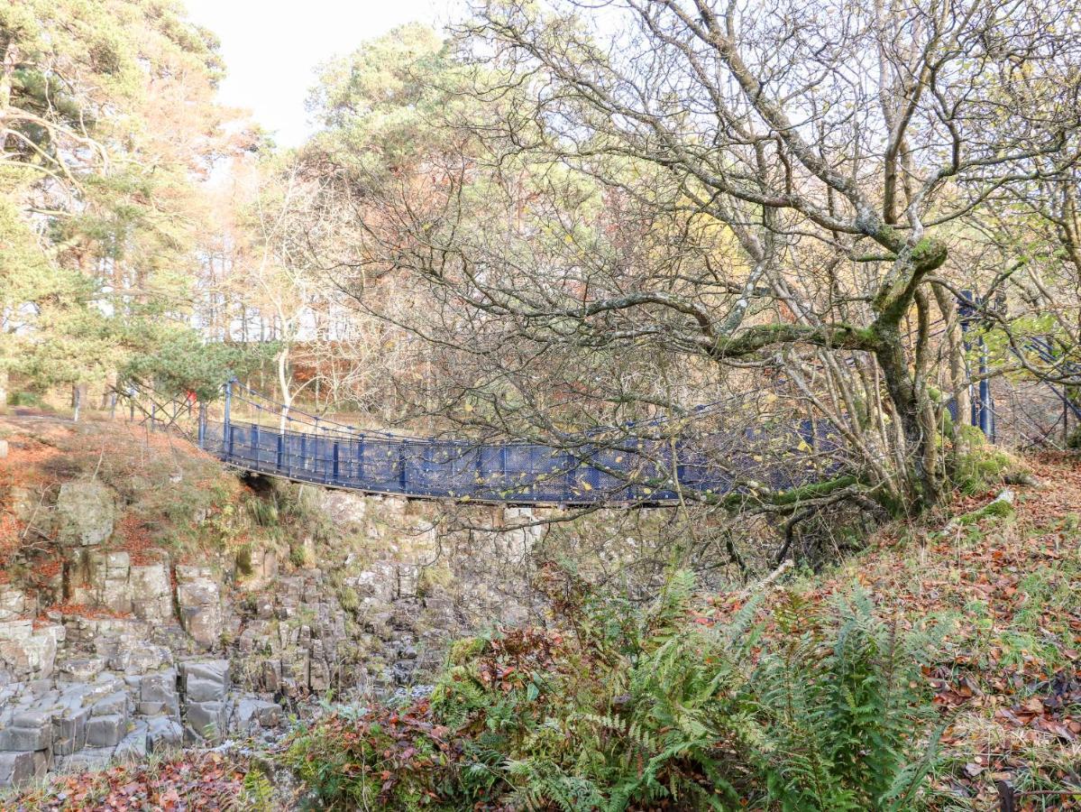 October Cottage Barnard Castle Bagian luar foto